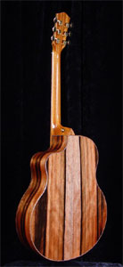 Macassar Ebony Acoustic Guitar by McPherson Guitars