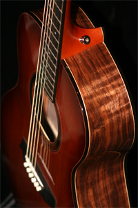 Claro Walnut Acoustic Guitar by Michael O'Brien