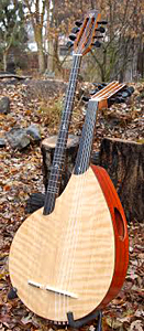 Double Neck Oud-Buzug with Curly Port Orford Cedar Top by Josh Humphrey  USA  oudandtabla@yahoo.com